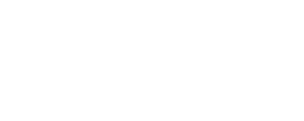 Travel Link logo